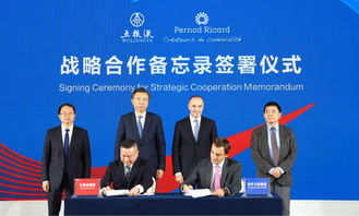 五糧液與保樂力加強強聯(lián)合 簽署戰(zhàn)略合作諒解備忘錄，共繪全球酒業(yè)共贏發(fā)展新藍圖