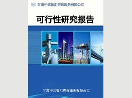 專業(yè)項(xiàng)目建議書與可研報(bào)告編制服務(wù)——蘭州中北智匯咨詢